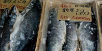 魚のあるとんかつ屋（2013年7月6日）