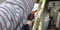 ネギも新鮮だ〜
