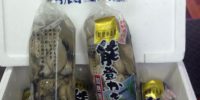 本日も入荷しております。