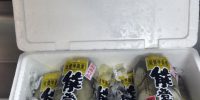 新年初荷です。