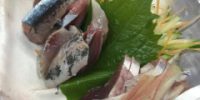初物秋刀魚がおすすめ