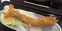 GWは海老がデカイ！