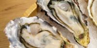 牡蠣！牡蠣！夏季、牡蠣！！？