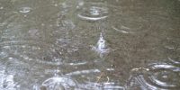 雨の日特典！