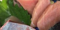 本日火曜日お魚day