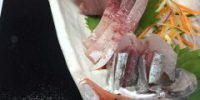 本日 火曜日お魚dayです。