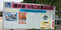 納品してまいりました。
