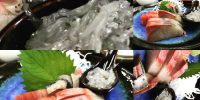 本日火曜日お魚day