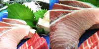 #和食#japanesefood #とんかつぼたん
