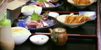 お魚day 始まりました！