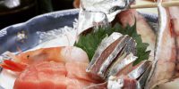本日火曜日お魚DAYです。