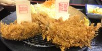 濃厚！甘みたっぷり！気仙沼唐桑のカキ