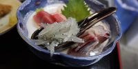 夜たくさんあります。シラス、生しらす美味いです。