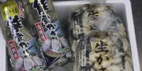 美味しいの入りました