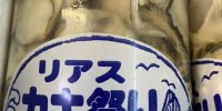 本日は気仙沼唐桑産