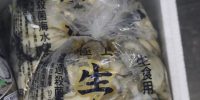 今シーズンの東松島産牡蠣 終了となりました。