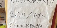 本日の朝どり野菜プレゼント