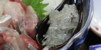 夜もまだまだお魚DAYやっていま～～す。