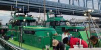 マスターが釣ってきた鯵づくし定食