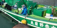 本日は誠に申し訳ございませんが 臨時休業とさせていただきます。