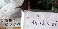 朝どれ野菜 ご来店のお客様にお配りしております?