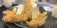 2つの名産地から選べるカキフライ