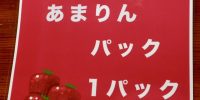 本日より販売開始です