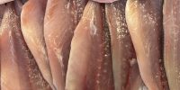 本日火曜日お魚day
