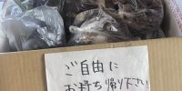 ぼたん農園のプレゼントお野菜