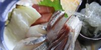 明日１１月１９日 　火曜日お魚DAYメニュー