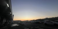 今朝は早起きして市場へ仕入れに行ってきました