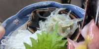【火曜日恒例・お魚DAY】